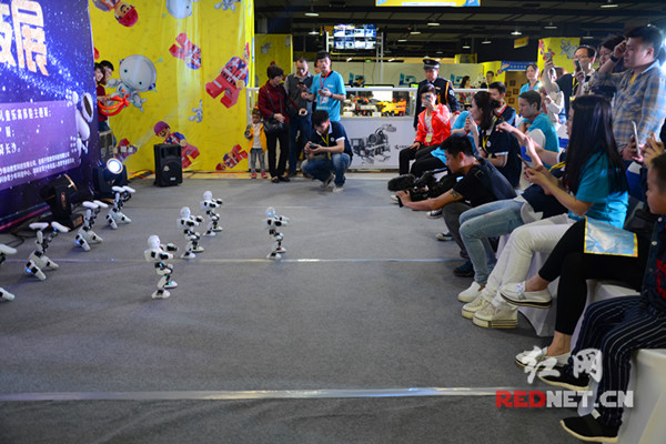 機器人梯隊大牌云集 長沙首屆魅力科技展開幕(圖1)