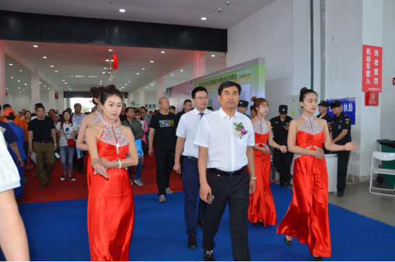 推動綠色交通變革 助力百姓低碳出行(圖2)