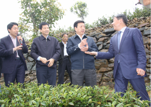 安康富硒茶引爆中國西部最牛茶專業展會(圖8) 安康富硒茶引爆中國西部最牛茶專業展會(圖8)