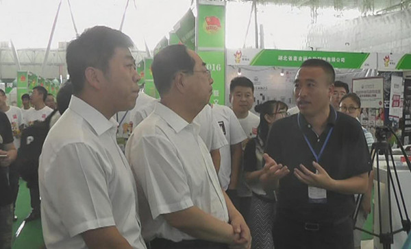 哈爾濱創業創新博覽會冰城網受關注(圖4)